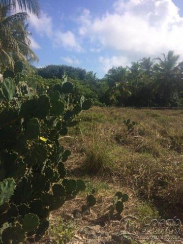 Terreno no loteamento beira mar - Foto 7