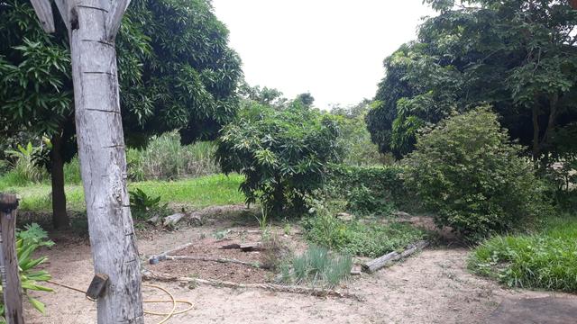 Vendo Fazenda Porteira fechada 80 hectares/DOCUMENTADA - Foto 10