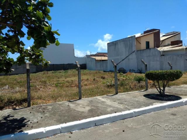 Lote na coroa do meio - Foto 2