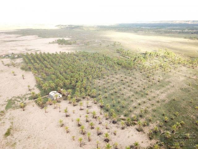 Grande área na barra dos coqueiros, a beira mar - Foto 6
