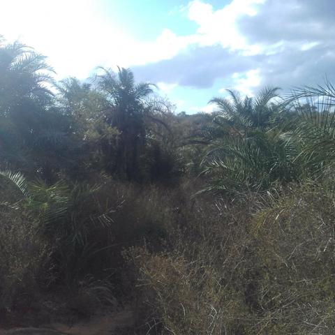 Fazenda em Itaberaba, 78 tarefas, 344 mil metros2