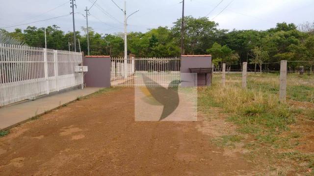 Chácara com 3 dormitórios à venda, 20000 m² por r$ 1.350.000,00 - centro - chapada dos gui - Foto 5