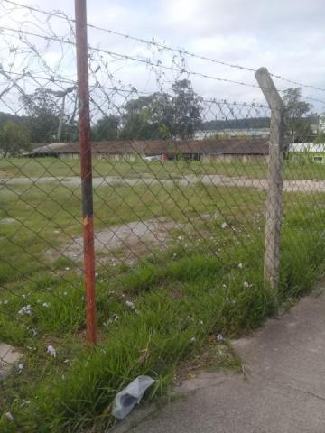 Área para alugar por r$ 4.500,00/mês - jardim guanciale - campo limpo paulista/sp - Foto 4