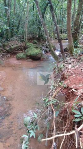 Chácara com 3 dormitórios à venda, 20000 m² por r$ 1.350.000,00 - centro - chapada dos gui - Foto 11