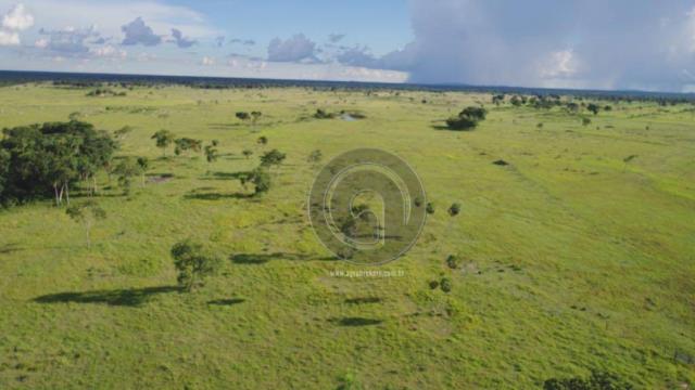 Fazenda 330 ha região chumbo poconé