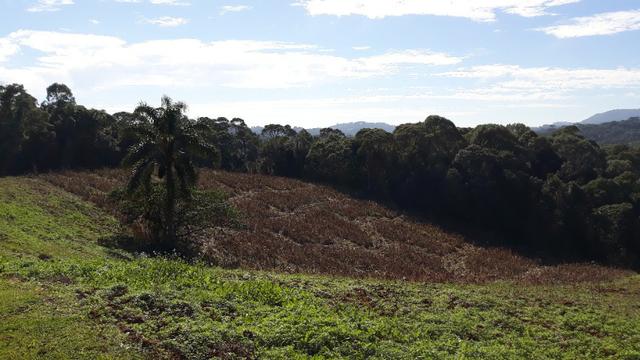 Excelente área rural medindo 70.153 m2, São José dos Pinhais - Roça Velha - Foto 6