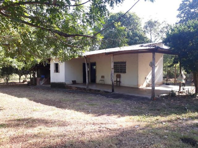 Fazenda para Pecuária com 333 hectares - Foto 17
