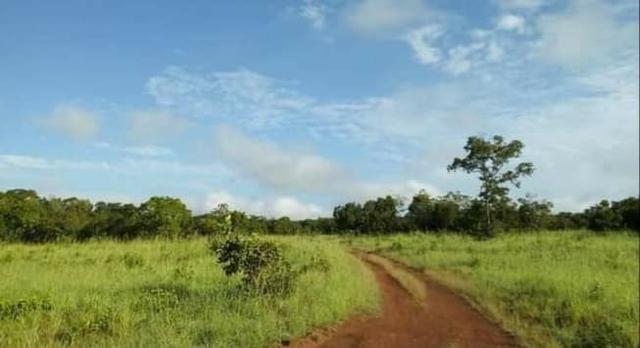 Fazenda 440 hectares - Livramento