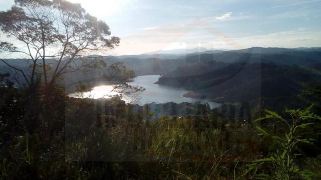 Chácara para venda em campina grande do sul, br 116
