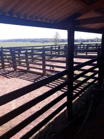 Fazenda à venda, por R$ 40.000.000 - Zona Rural - Rolim de Moura/RO - Foto 18