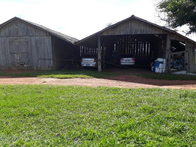 Fazenda em Arenapolis Mato Grasso Terra de Cultura - Foto 5