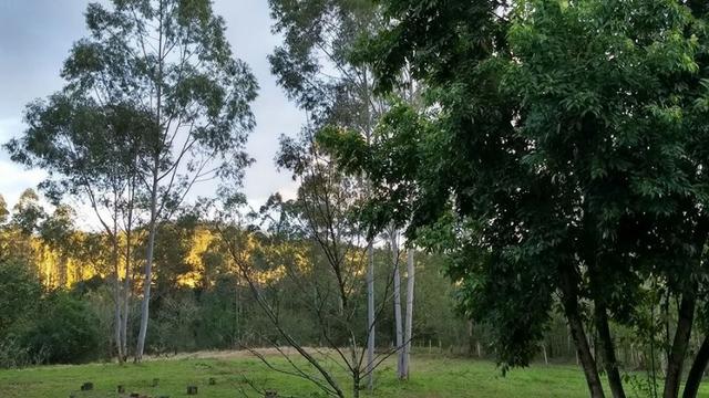 Sítio com linda casa próximo a RS 239 - Sapiranga e Araricá - Foto 10