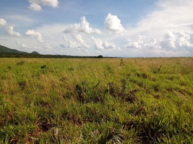 Fazenda em Rosário Oeste com 784 Hectares - Foto 5