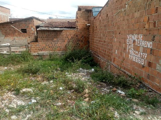 Terreno em Gravata. Fone *