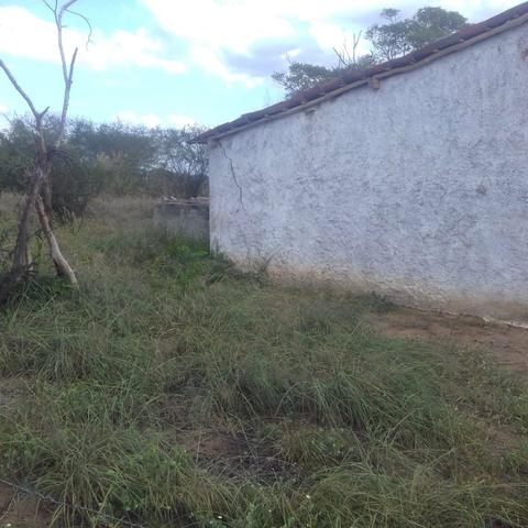 Fazenda em Itaberaba, 78 tarefas, 344 mil metros2 - Foto 6