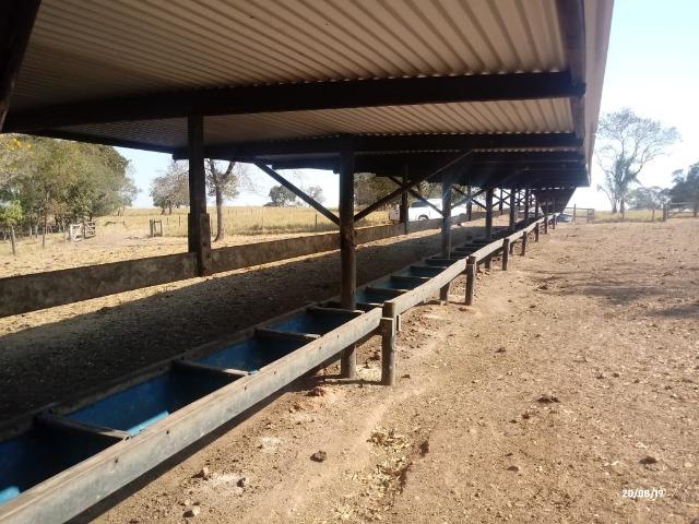 Fazenda abeira do asfalto na estrada da Guia MT 010 apos a entrada de Acorizal - Foto 6