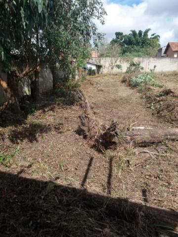 Terreno para venda em quatro barras, jardim das acácias, 2 dormitórios, 1 banheiro - Foto 6