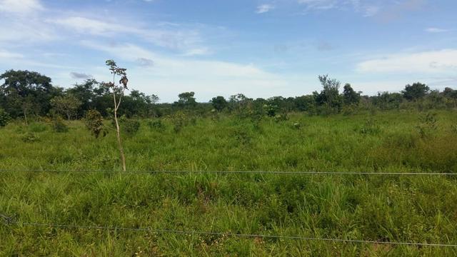 2 Sítios juntos 9 Hectares Cada 90km Cuiabá - Foto 5
