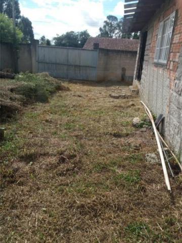 Terreno para venda em quatro barras, jardim das acácias, 2 dormitórios, 1 banheiro - Foto 5