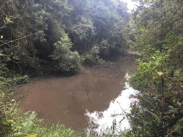 Terreno em são José dos Pinhais - Foto 2