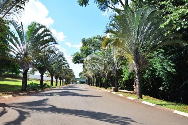 Terreno à venda com 0 dormitórios em Jardim fortaleza, Paulínia cod:TE007765 - Foto 6