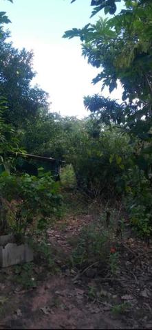 Sítio 9 Hectares 85km de Cuiabá - Foto 3