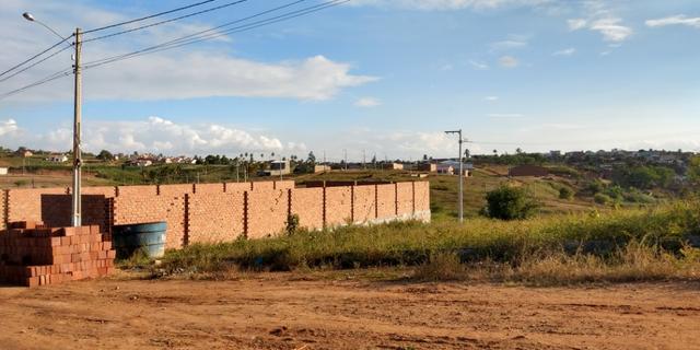 Lote em Feira Nova