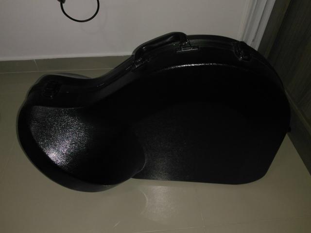 Trompa Dourada - Foto 4