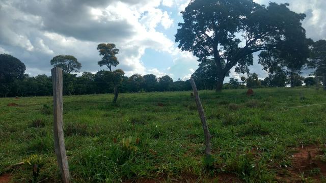 CHÁCARA JARAGUARI MS 36,4 ha - Foto 4