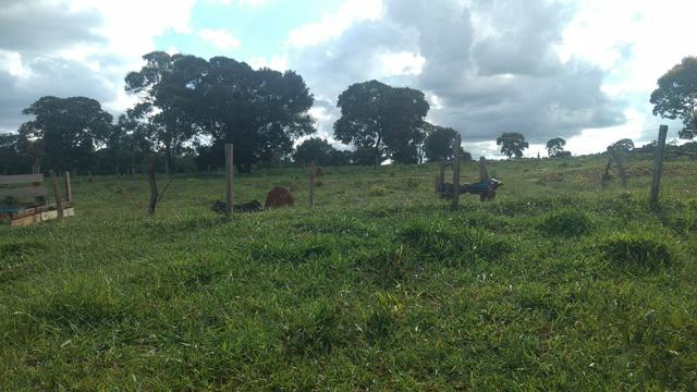 CHÁCARA JARAGUARI MS 36,4 ha - Foto 6