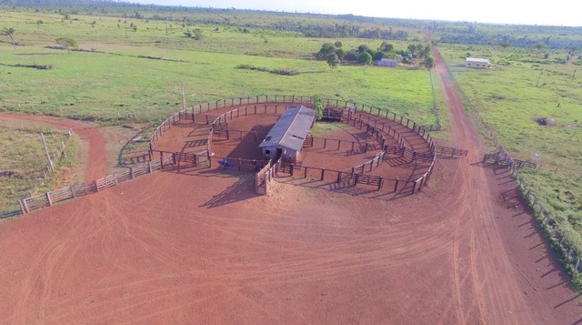 6.691 alqueires em Brasnorte  - Foto 2