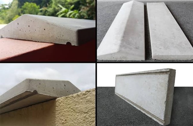 Chapéu de muro (pingadeira)423878816715909121