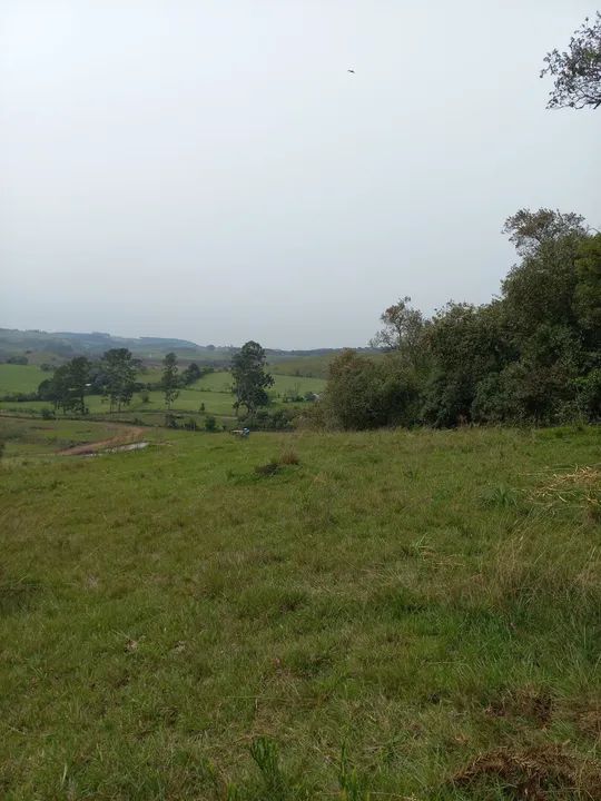 Chácara Faz. Ilhéus 2,0 Ha - Foto 5