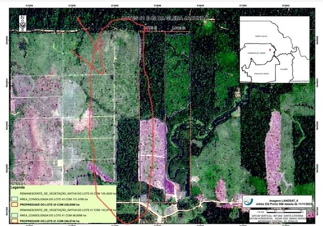 VENDO 100 ALQUEIRES NA VILA DO SAMUEL - Foto 14