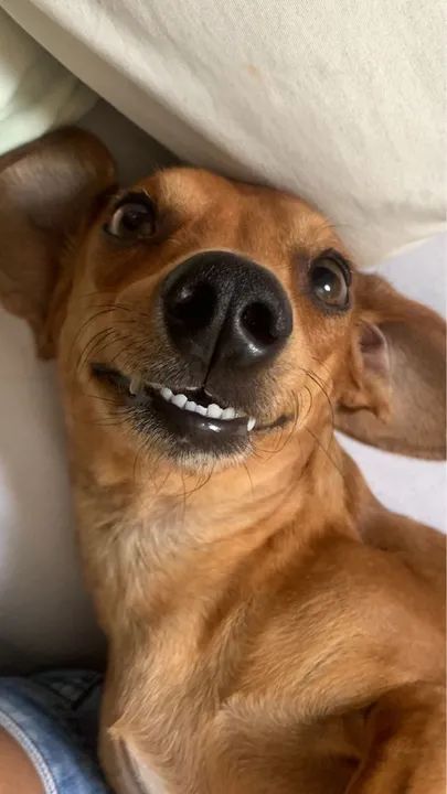 Procuro namoradinha ? - Foto 4