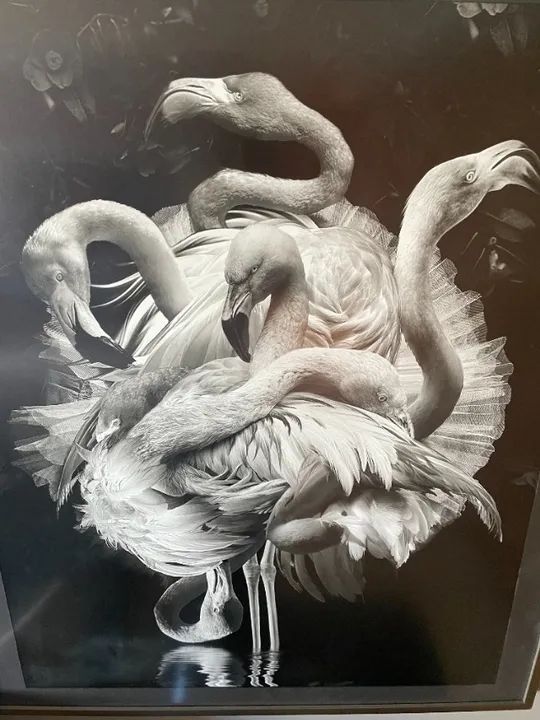 Flamengo - Marcel Van Luit - 80x100cm - Foto 2