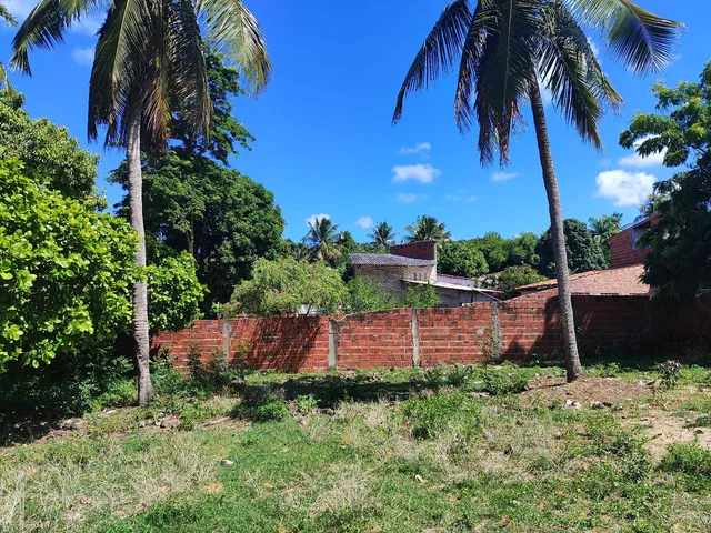 Vende-se área em cotovelo Pium com 1.16hectare R$150reais o m2