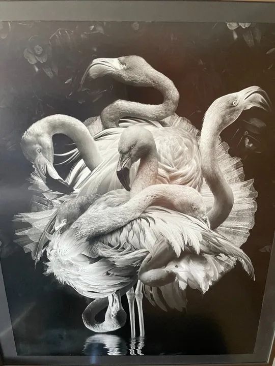 Flamengo - Marcel Van Luit - 80x100cm - Foto 6