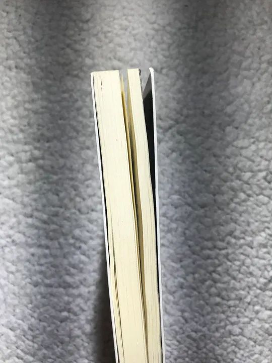 Livro O Teorema Katherine  - Foto 5