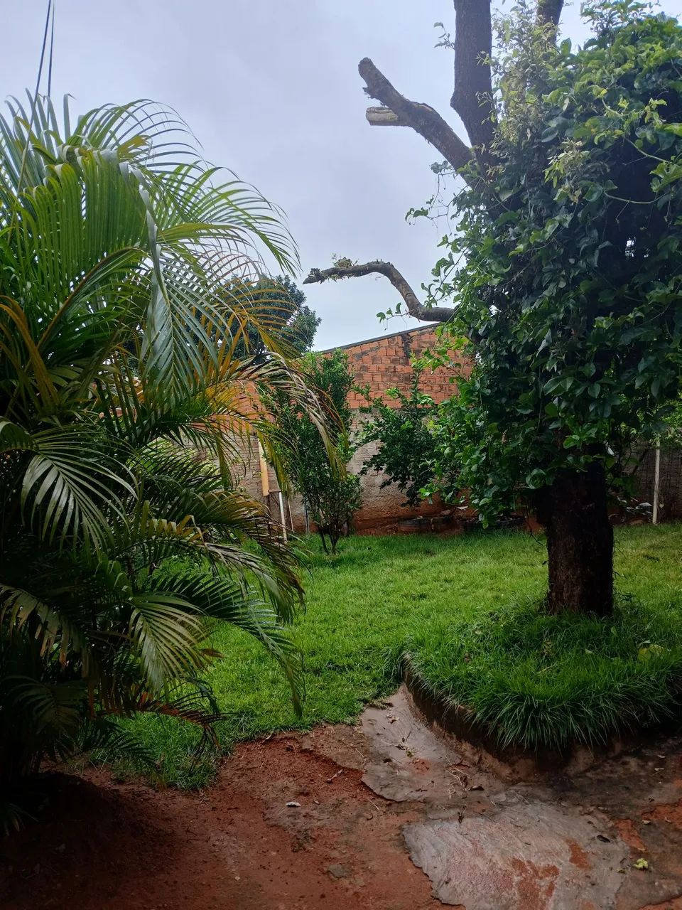 Vende-se uma casa, quitada e escriturada, bairro Jardim Tancredo Neves- Rondonopolis-MT  - Foto 5