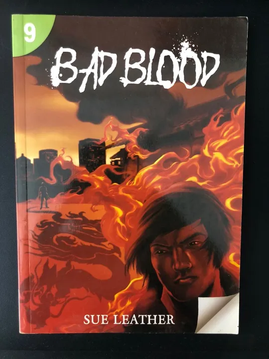 Livro "Bad Blood" - Sue Leather