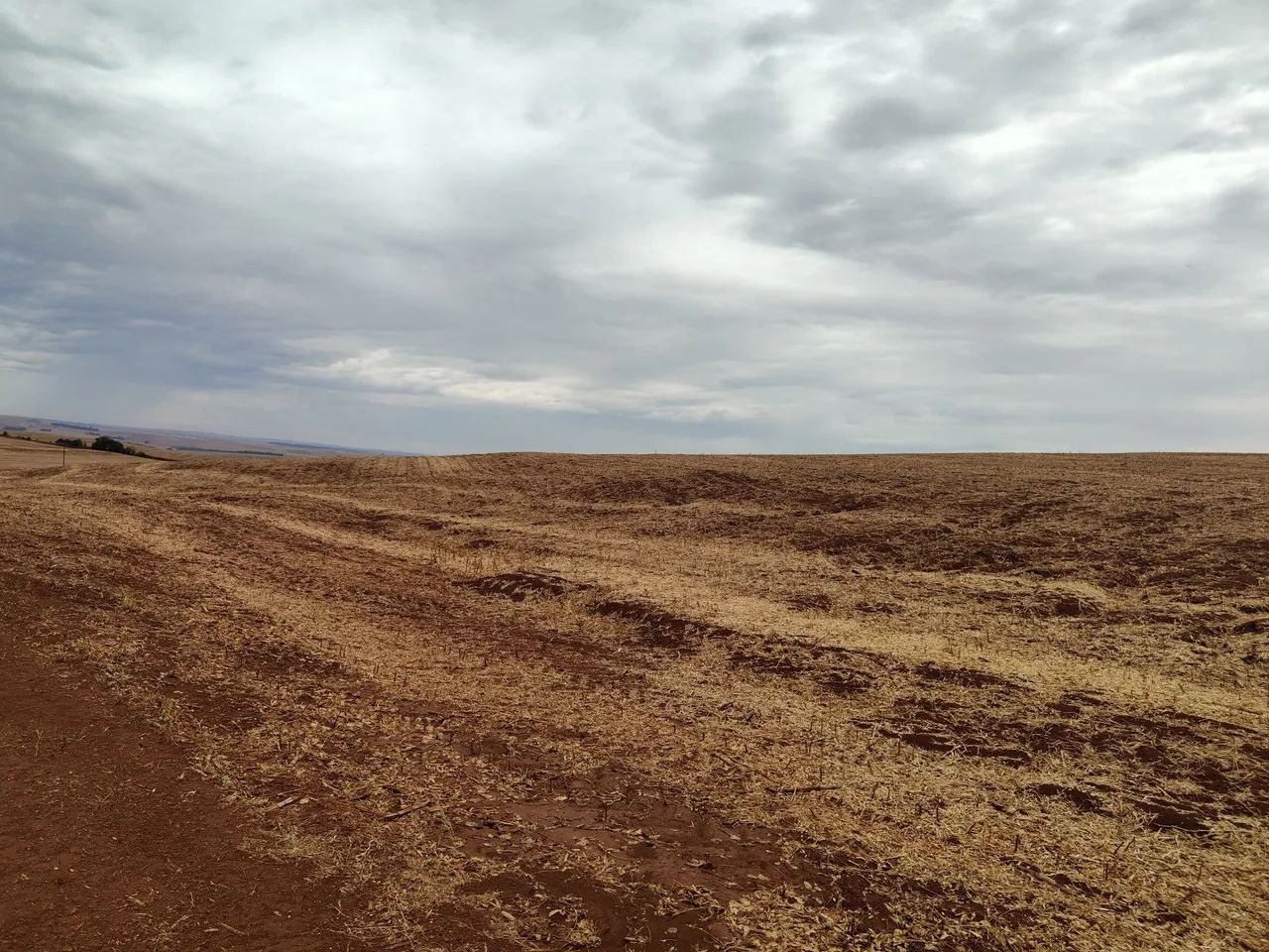 Sítio 53 alqueiro planta 44