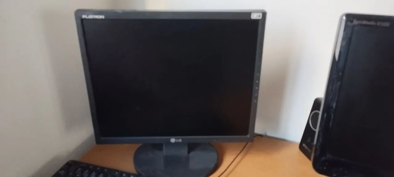 Monitor LG Flatron L1953S