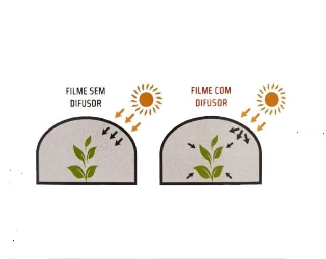 Lona Difusor Estufa agrícola 150 micras 12m larg 60 comp proteção UV Coverfilm - Foto 4