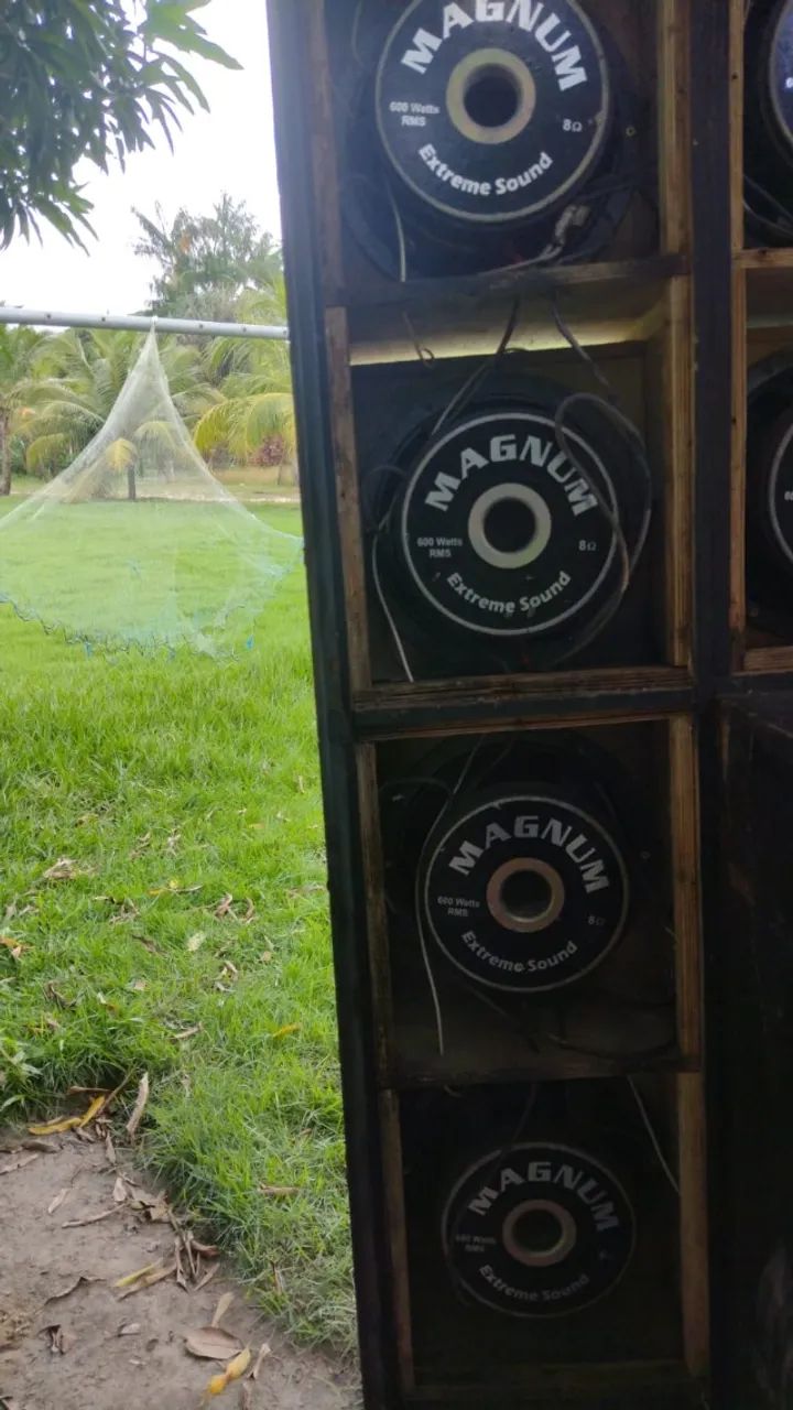 Woofer 12 magnum 600w - Foto 3