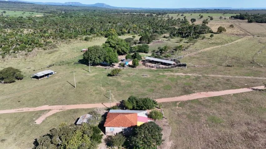 Fazenda 288 hectares com Rio! - Foto 2
