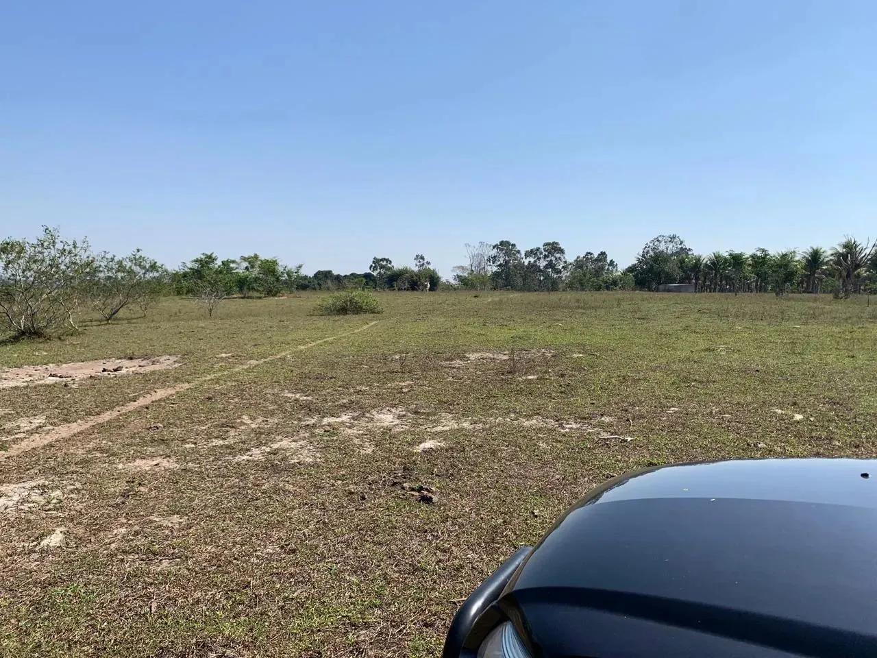 Sitio em Quissamã totalmente plano com 10 alqueires