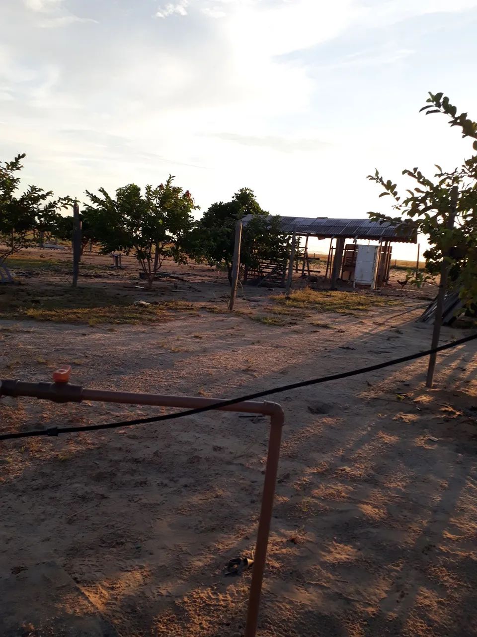 Foto - Boa Vista - Caimbé