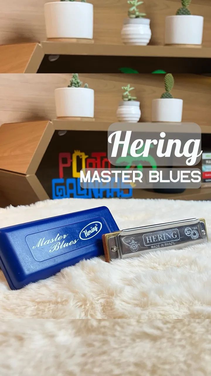 Gaita Hering Master Blues 