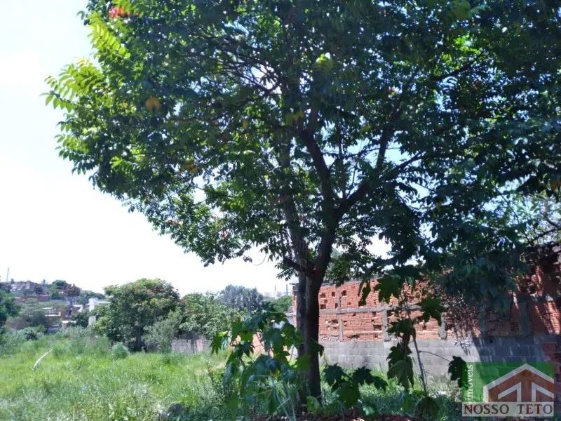 TERRENO À VENDA | JARDIM FLORENCE | CAMPINAS - Foto 3